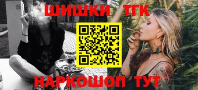 индика Дубна