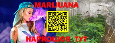 индика Дубна