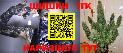 индика Дубна