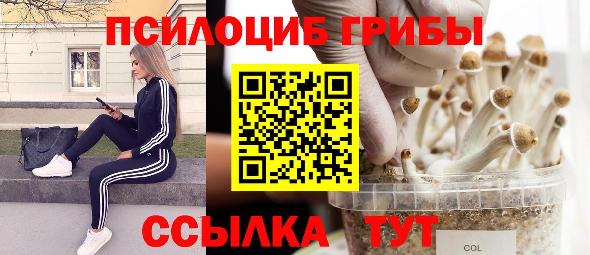 Галлюциногенные грибы мухоморы Малгобек
