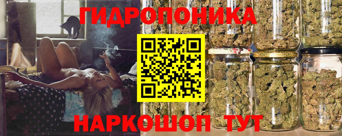 Бошки Шишки OG Kush  Вход с VPN  Малгобек  Конопля сатива 